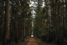 Pemberton en Australie-Occidentale