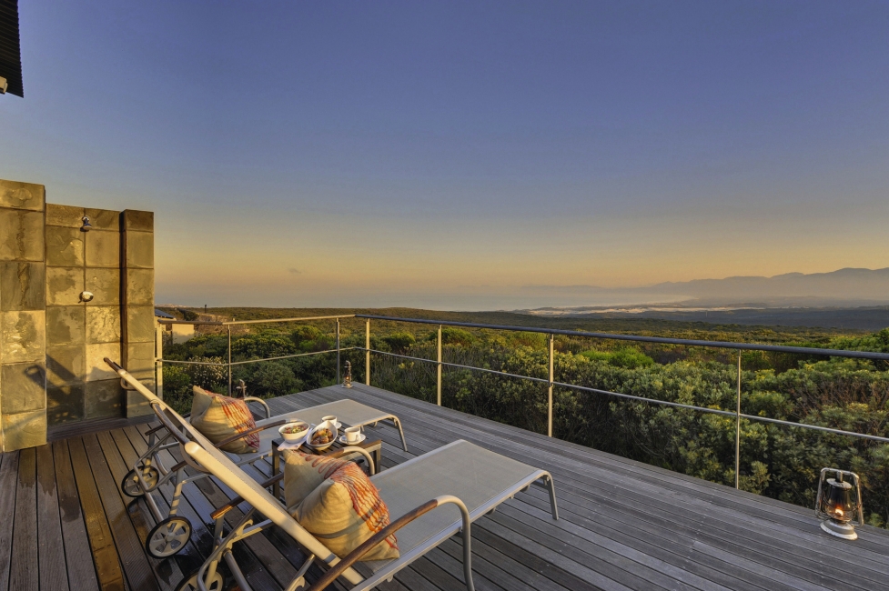 Terrasse avec chaises longues de la Forest Lodge, Grootbos Private Nature Reserve
