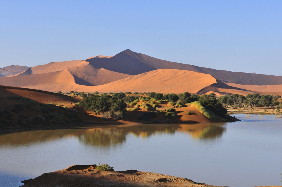 Dunes au bord de l'eau à Sossusvlei