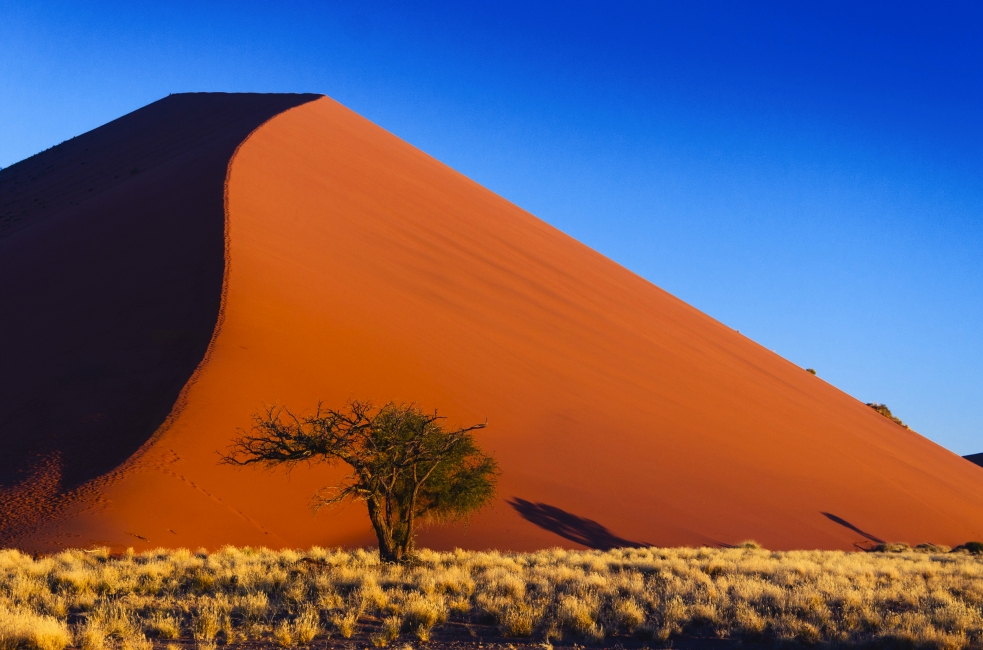 Dunes rouges de Sossusvlei