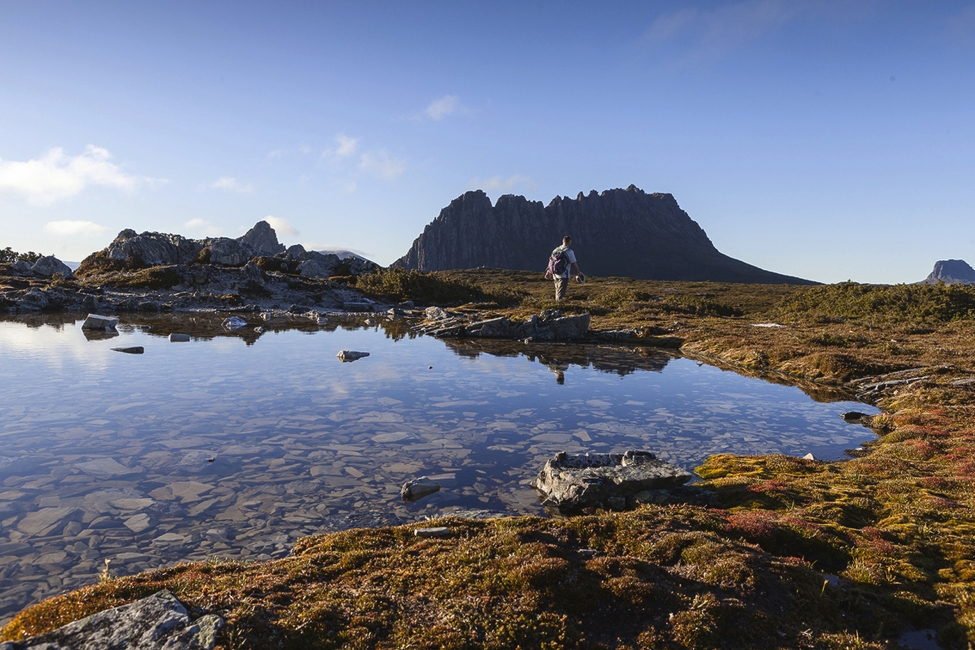 Randonnée vers Marions Lookout au Cradle Mountain, Tasmanie