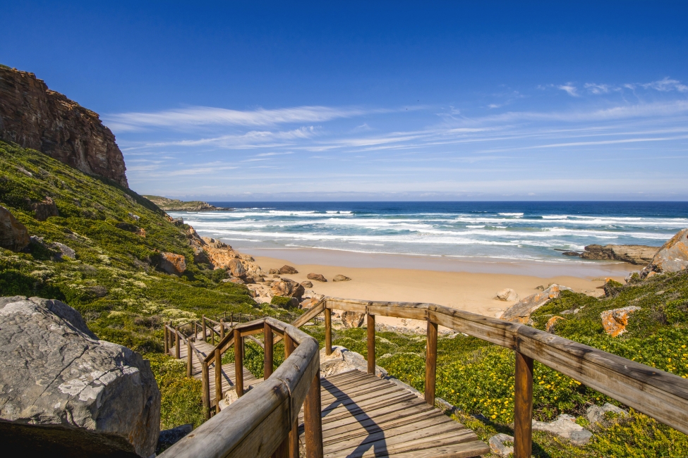 Plage de Robberg à Plettenberg Bay