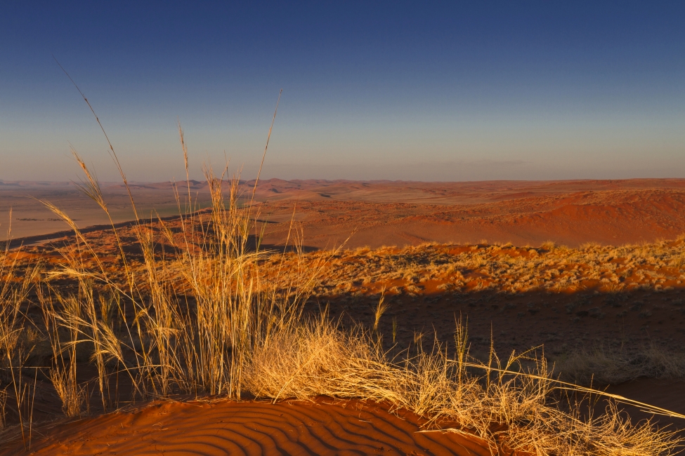 Dune d'Elim près de Sossusvlei