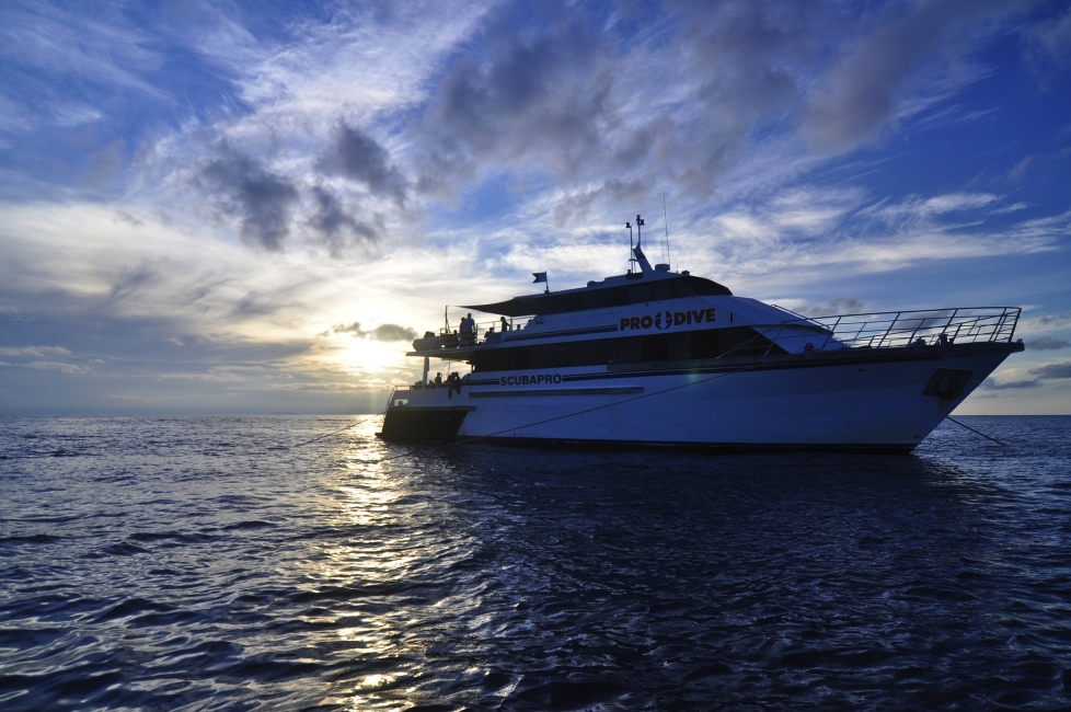 Navire de plongée de Pro Dive sur la Grande Barrière de corail