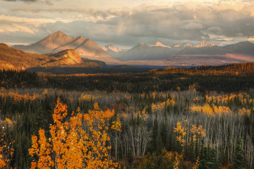 Panorama de montagnes dans le parc national Denali