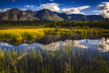 Chaîne de montagnes dans le parc national Denali