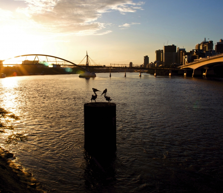 Goodwill Bridge à Brisbane