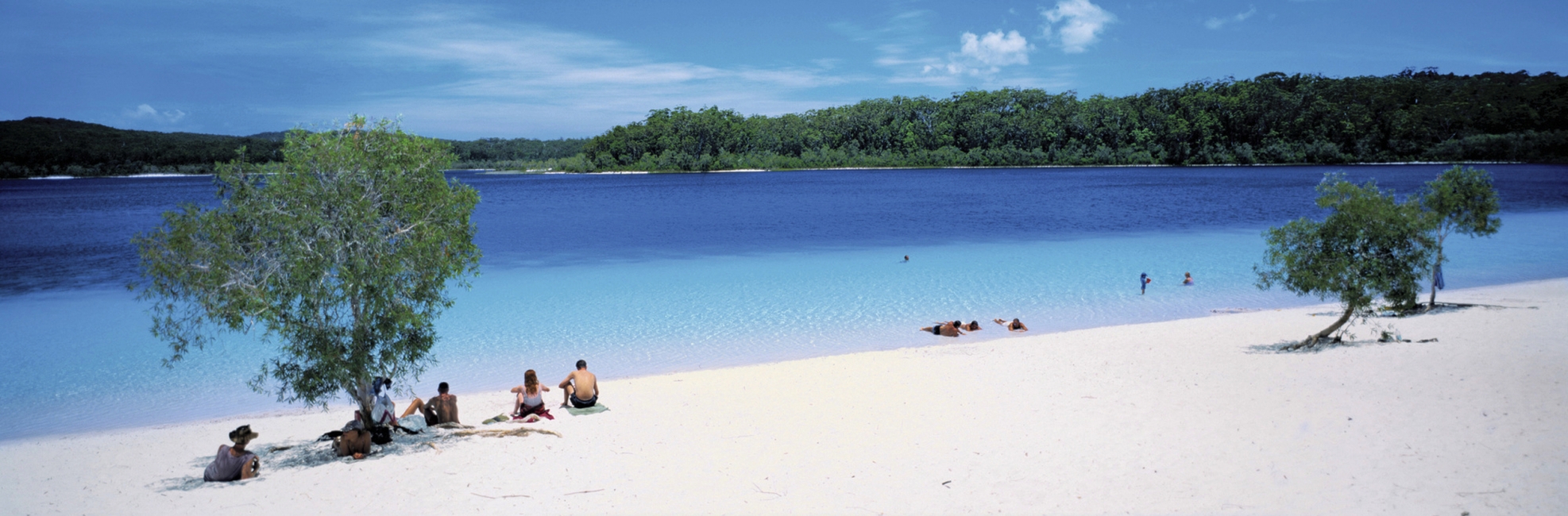 Vie de plage sur Fraser Island