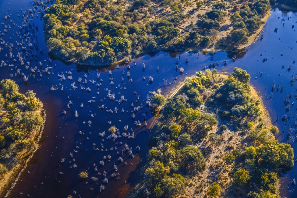 Panorama du delta de l'Okavango