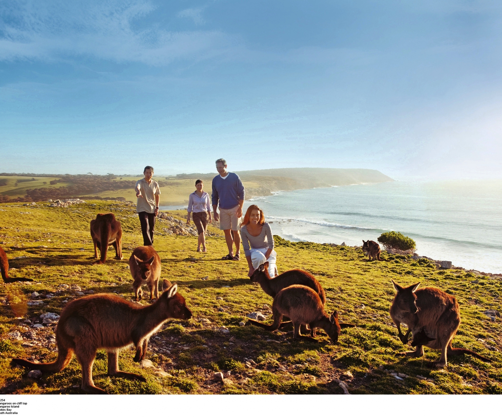 Famille avec des kangourous sur Kangaroo Island